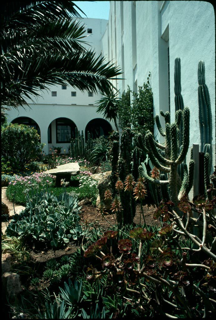 Cactus Garden in Mallorca