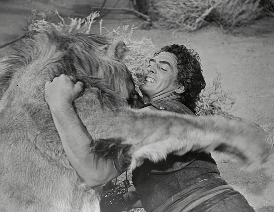 Victor Mature Fighting Lion in Movie 'Samson and Delilah'