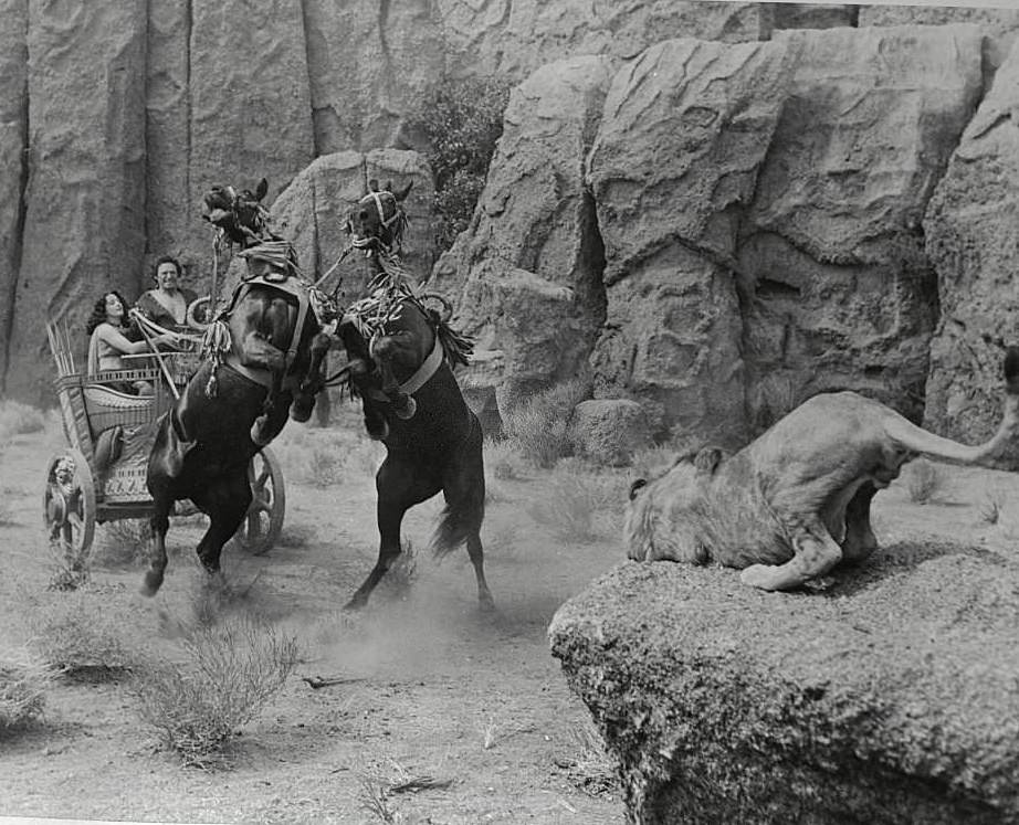Fighting Lions in Scene from 'Samson And Delilah', 1949