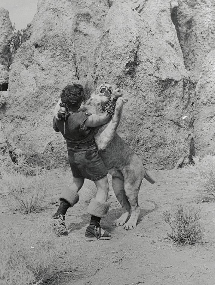Victor Mature Fighting Lion in Movie 'Samson and Delilah'