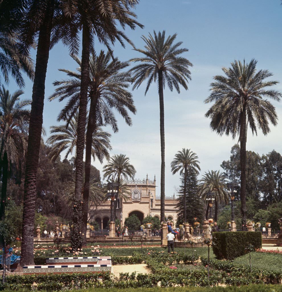 Maria Luisa Park, 1962, Seville, Andalusia, Spain.