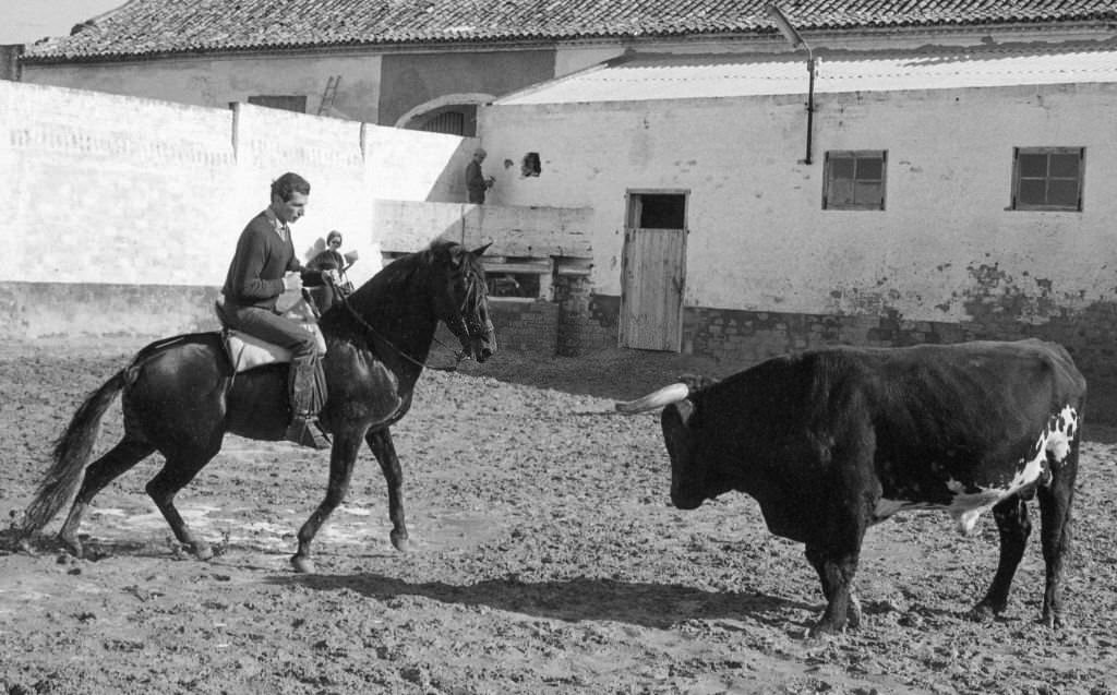 Spanish "rejoneador" Rafael Peralta, 1966, Sevilla, Spain.