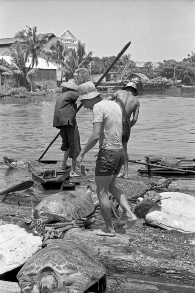 Asian child wearing a broad-brimmed hat. Singapore, 1962