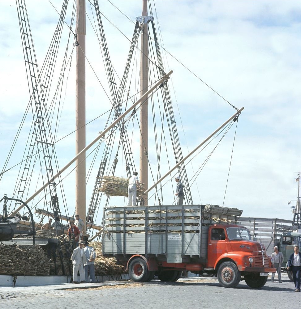 Dockers in the port of Tenerife in 1970