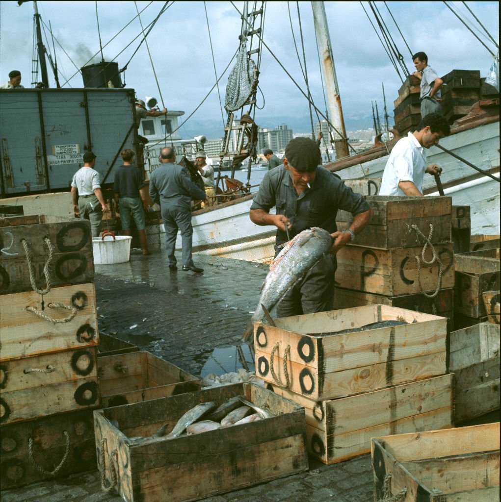 Fishermen at work in the port, Tenerife, 1970s