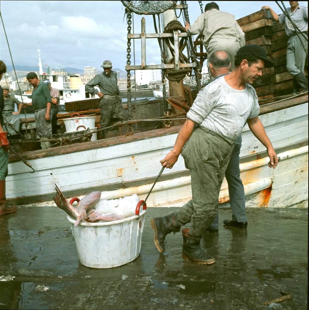 Fisherman working at harbour, Tenerife, 1970