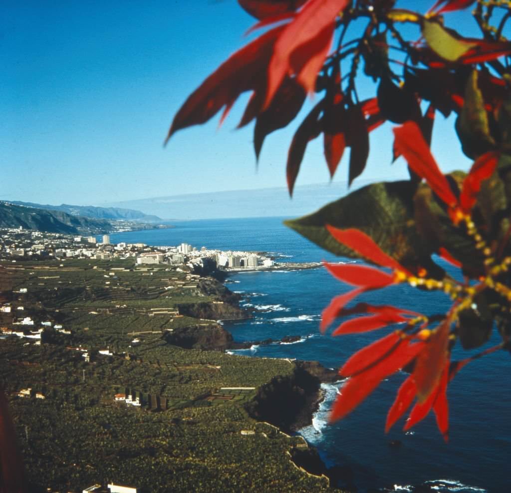 Tenerife, Spain 1970s.