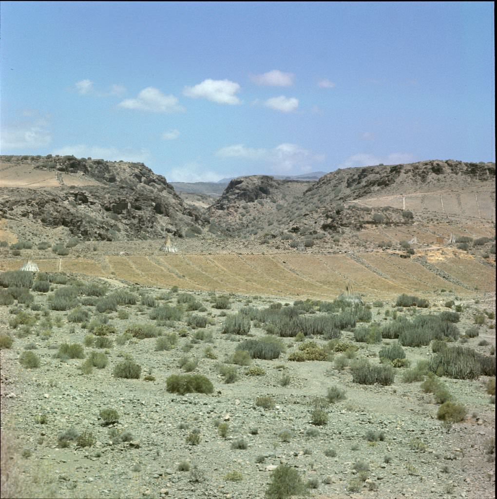 Volcanic landscape in Tenerife, 1970