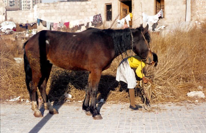 Life of Valencia in 1973 Through These Fascinating Vintage photos