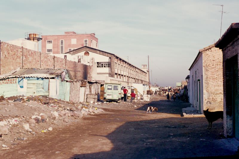 Life of Valencia in 1973 Through These Fascinating Vintage photos