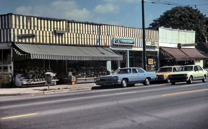 Grocery stores on Main Street near 33rd Avenue, Vancouver, 1984