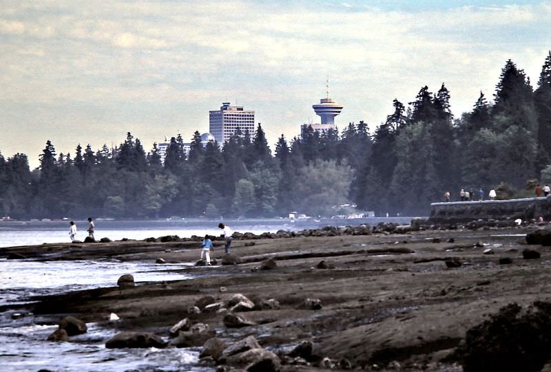 Below the seawall at low-tide east of Lions Gate Bridge in Stanley Park, Vancouver, 1986