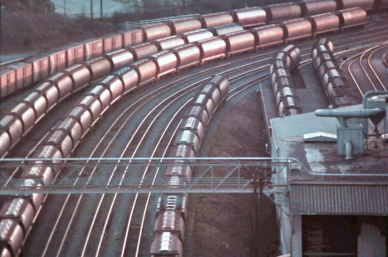 CPR railway grain cars on the waterfront in East Vancouver as seen in early morning from Second Narrows Bridge. They are waiting besides the grain terminals in Vancouver, 1986