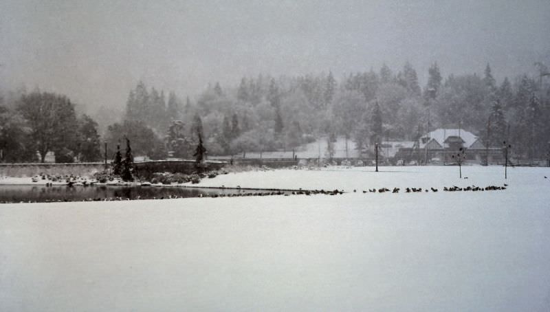 Georgia Street entrance to Stanley Park, Vancouver, 1986