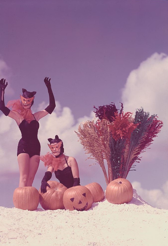 Young Women in Costume Posing on Beach with Pumpkins.Winter Haven, Florida: Halloween feature picture made at Cypress Gardens.
