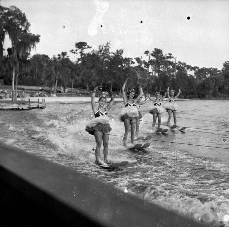 Skiing group at Cypress Gardens, Florida, 1950s.