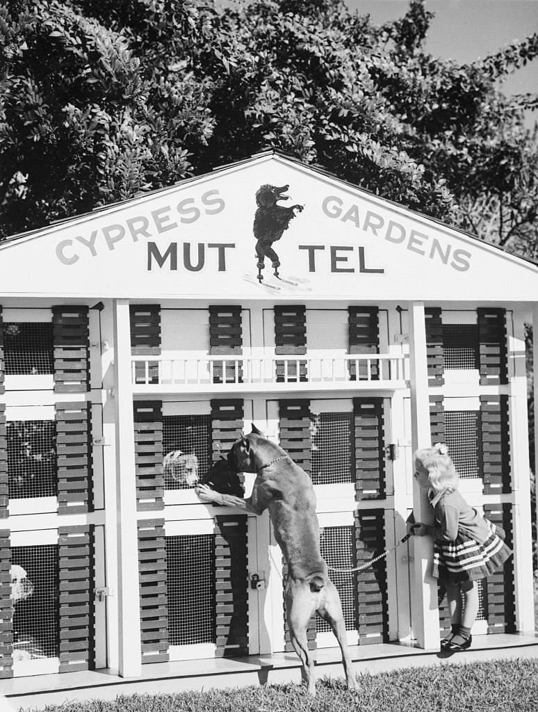 Great Dane and Girl Looking at Rooms at Muttel