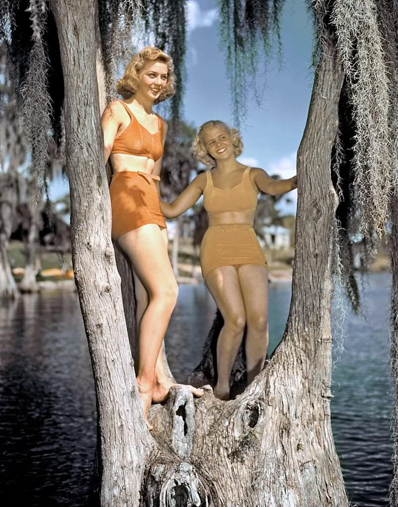 A pair of southern belle models pose by a Cypress tree at Cypress Gardens theme park in 1953 near Winterhaven, Florida.