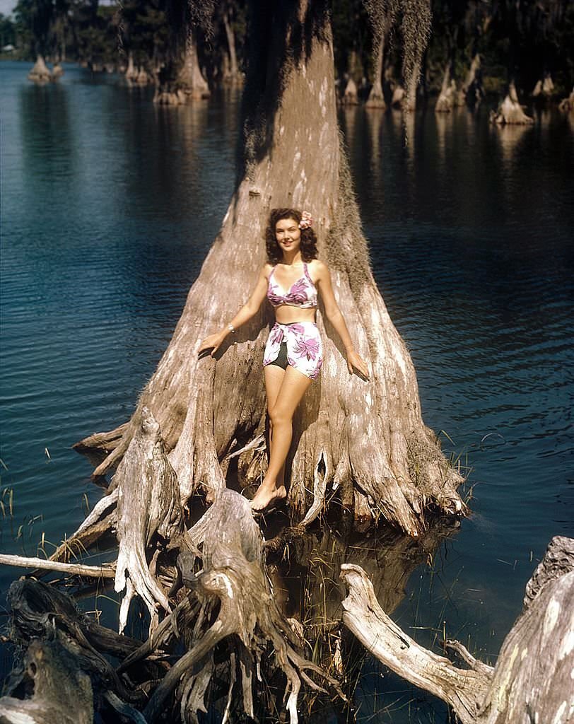 A southern belle model poses by a Cypress tree at Cypress Gardens theme park in 1953 near Winterhaven, Florida.