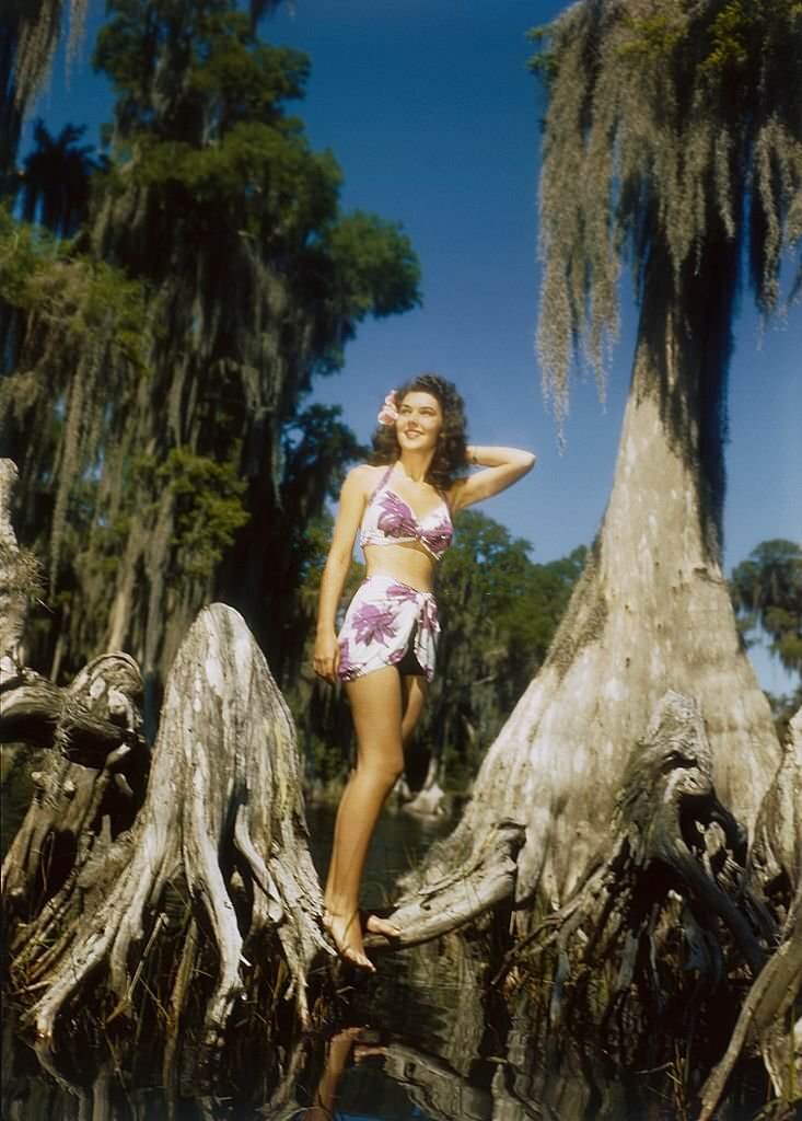 A southern belle model poses by a Cypress tree at Cypress Gardens theme park in 1953 near Winterhaven, Florida.