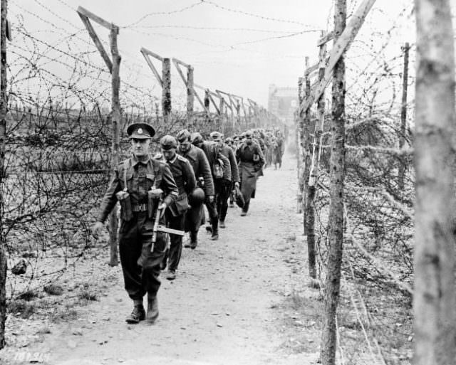 Led by a British soldier, a line of German prisoners of war is marched along a barbed-wire barricaded lane as they arrive at a POW camp somewhere in England, in June 1944