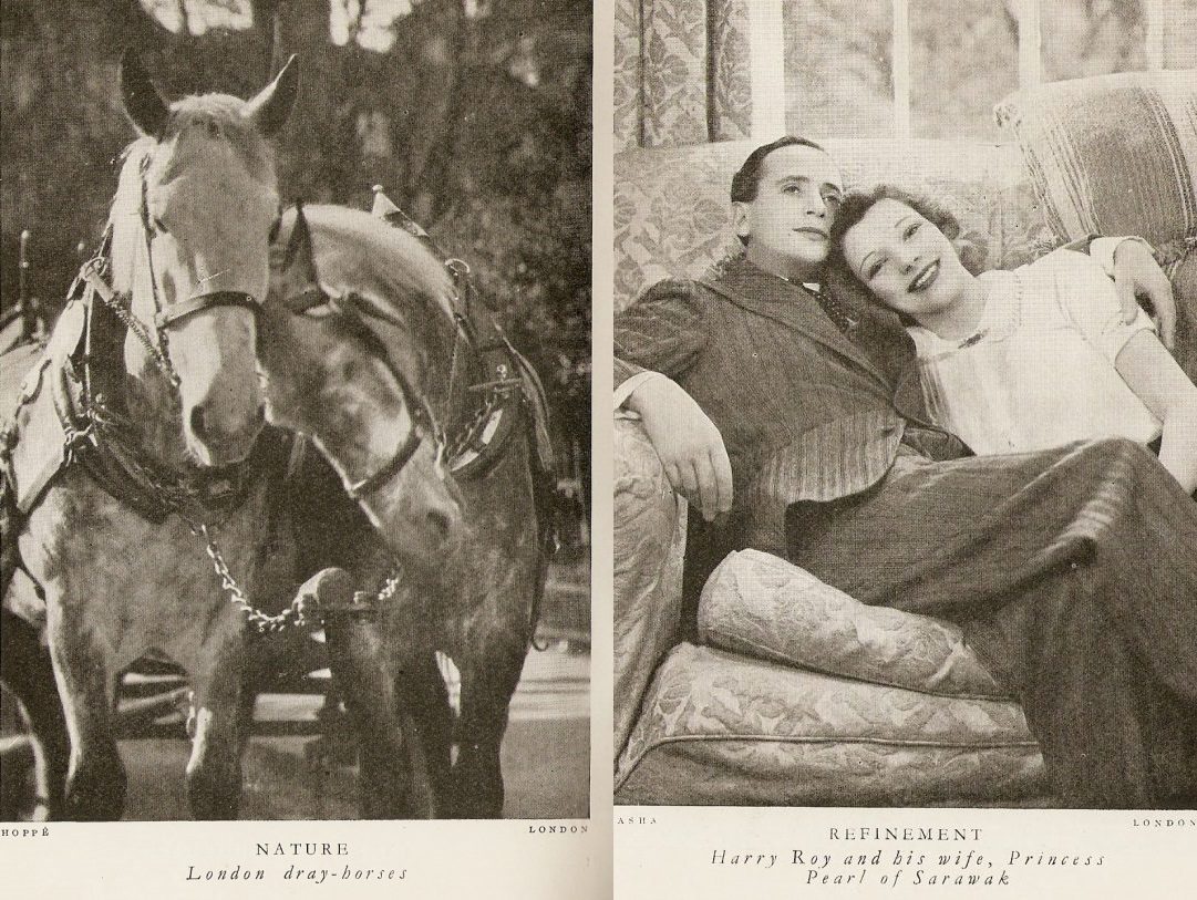 London Dray-horses (and) Harry Roy and his wife, Princess Pearl of Sarawak
