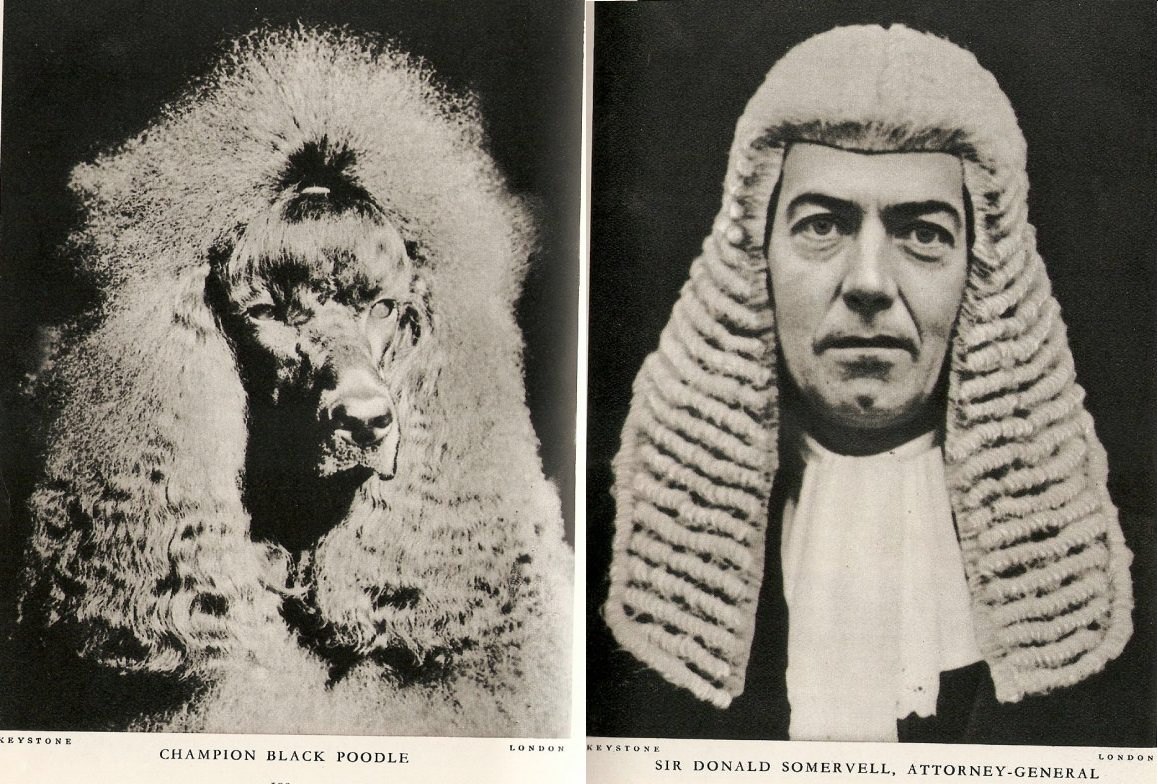 Champion Black Poodle (and) Sir Donald Somervell Attorney General