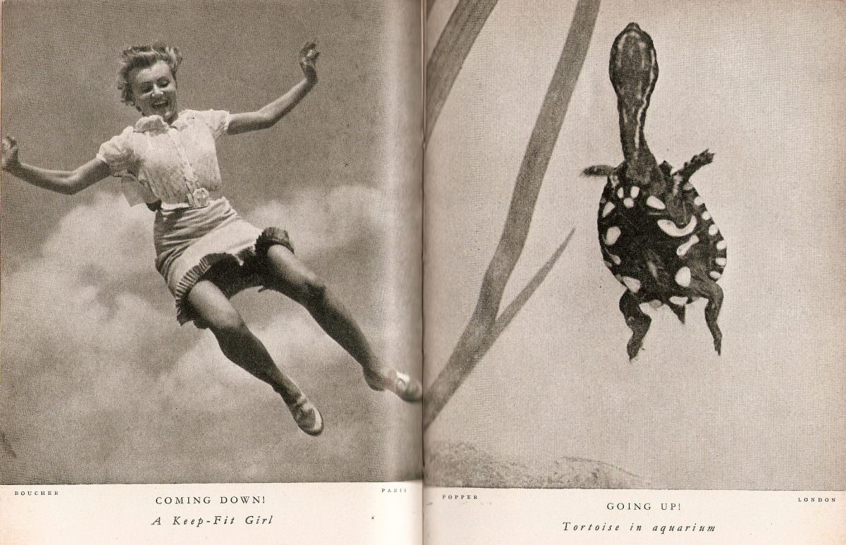 A keep-fit girl (and) Tortoise in Aquarium