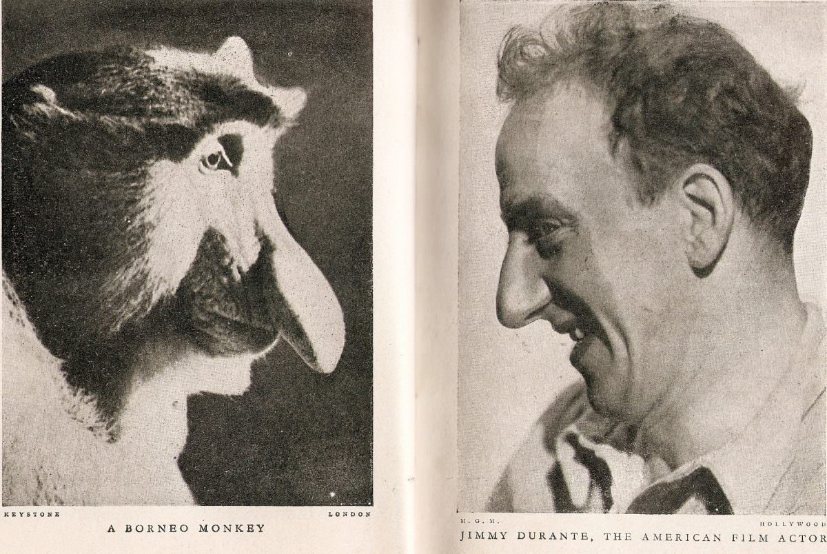 A Borneo Monkey (and) Jimmy Durante the American film actor