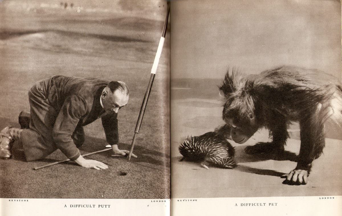 A difficult putt (and) A Difficult pet