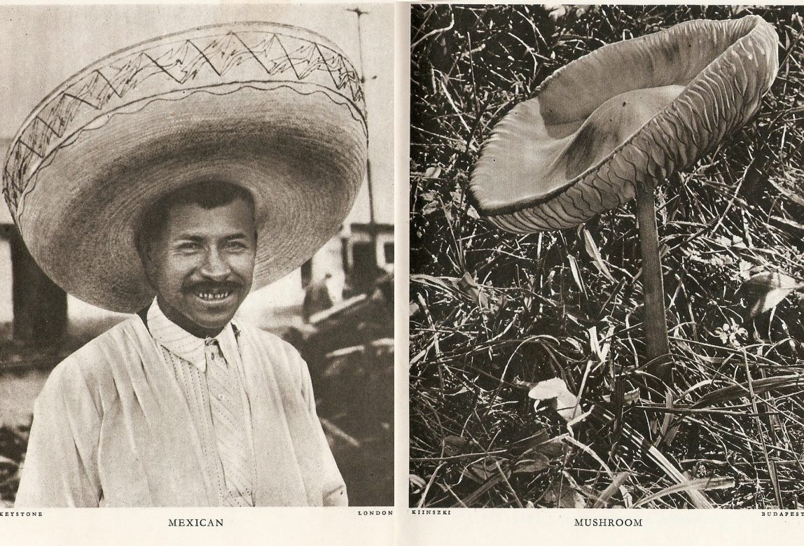 Mexican (and) Mushroom