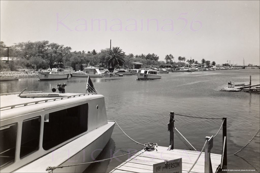Boats docked along the 1926 Ala Wai Canal. The boats had to be small enough to fit under the Ala Moana Bridge visible in the distance at right, 1940s