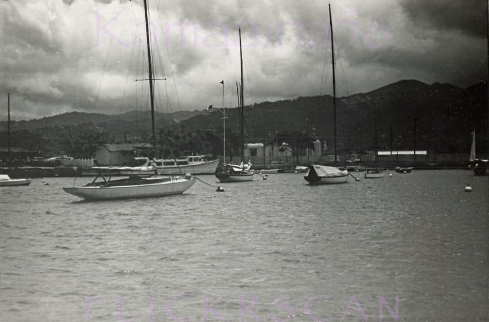 Mauka (inland) view of south shore Oahu taken from the water off Ala Moana Park, 1949