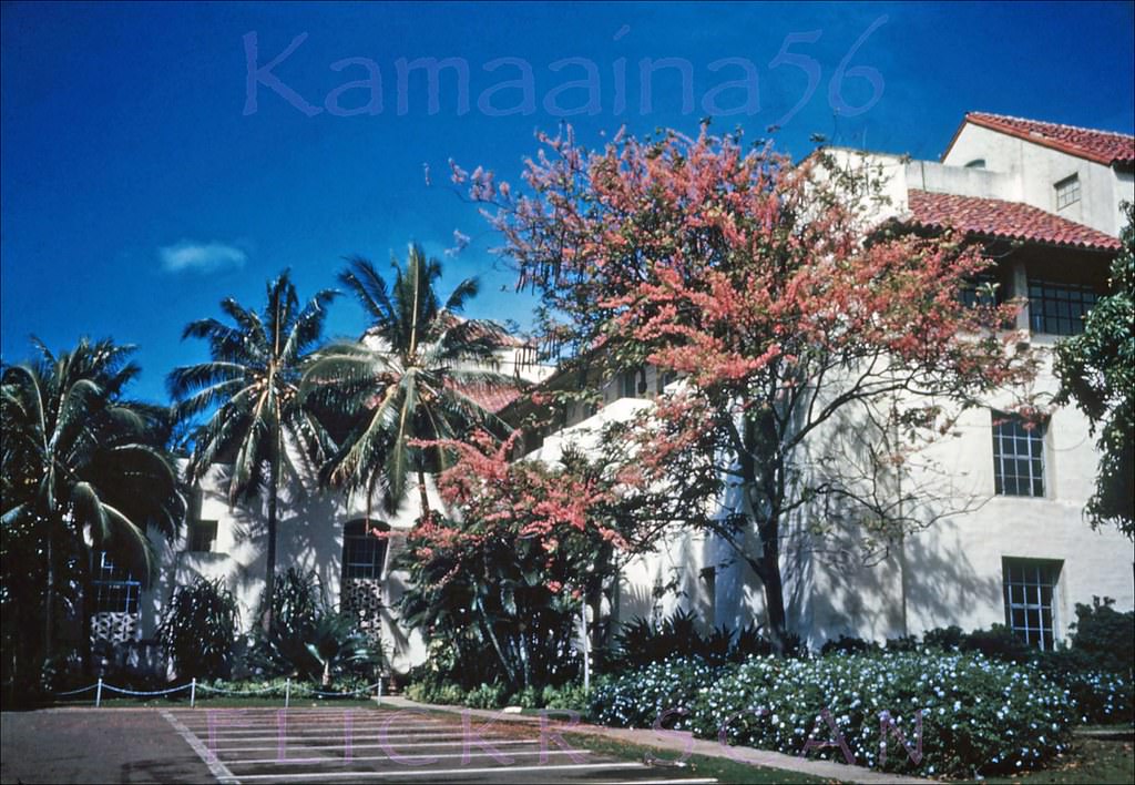 Honolulu Hale Mauka Side, 1947.