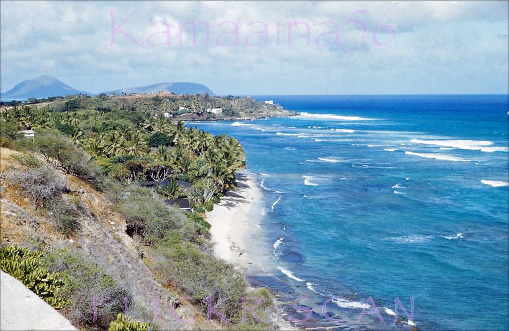 Black Point Vista, 1953.