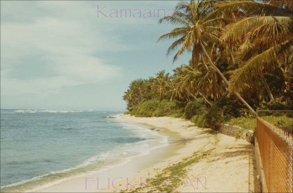 Looking ewa along the beachfront of the Paterson Cottages next to Black Point behind Diamond Head at the end of Kaalawai Place, 1972.
