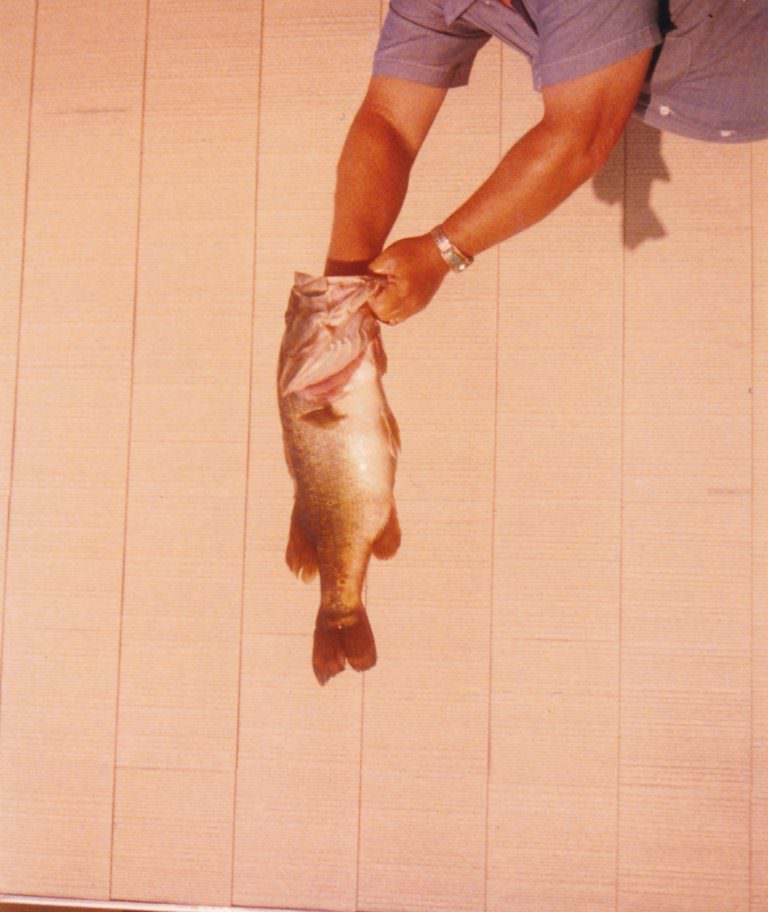 Hilarious Vintage Photos of Men Holding their Fish