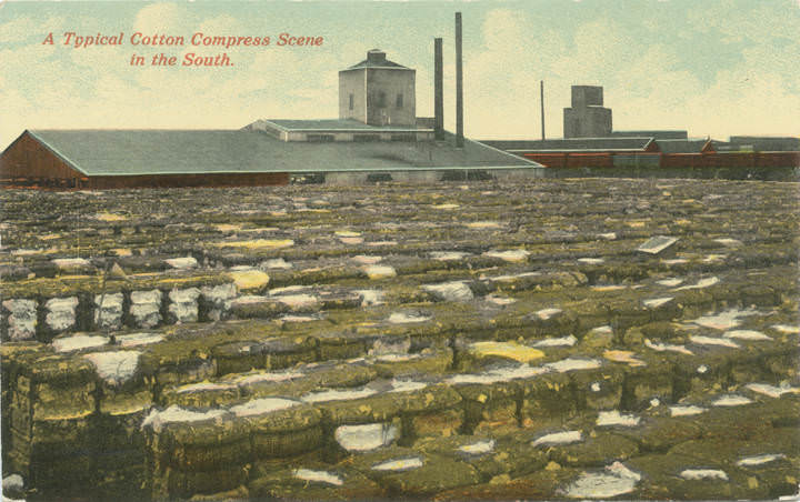 A Typical Cotton Compress Scene in the South, Mobile, Alabama, 1900s