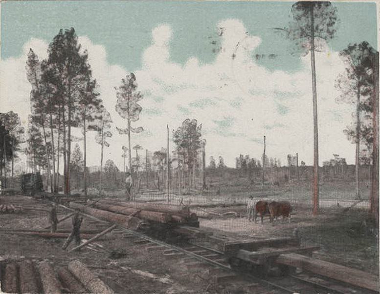 Logging Train, Mobile, 1907