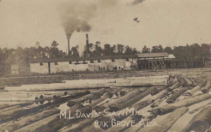 M. L. Davis' Saw Mill, Oak Grove, 1907