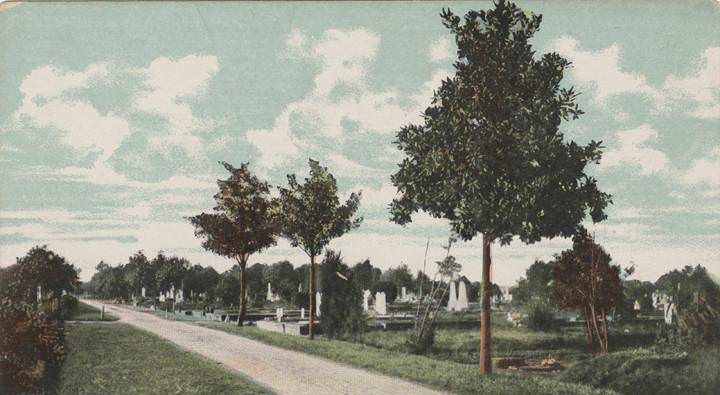Avenue in Magnolia Cemetery, Mobile, Alabama, 1900s