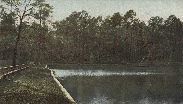 The Lake at Jesuit College, Mobile, Alabama, 1900s