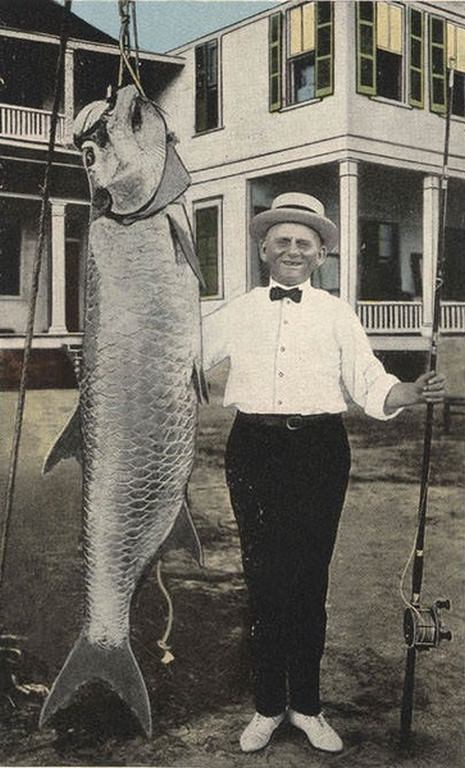 Tarpon Caught at Coden, near Mobile, 1906