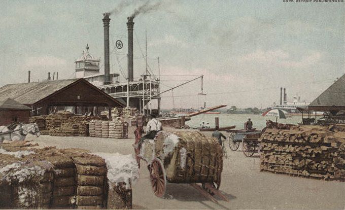 The Cotton Docks, Mobile, 1906