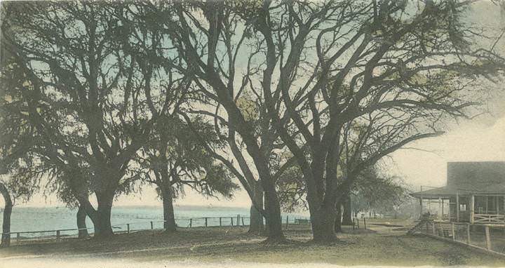 The Country Club, Mobile Bay, 1906