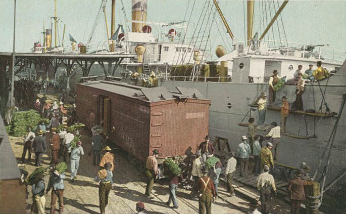Unloading Bananas from Steamer, 1906