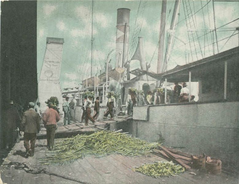 Unloading Bananas, Mobile, 1906