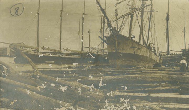 Damage done by a hurricane in Mobile, 1902