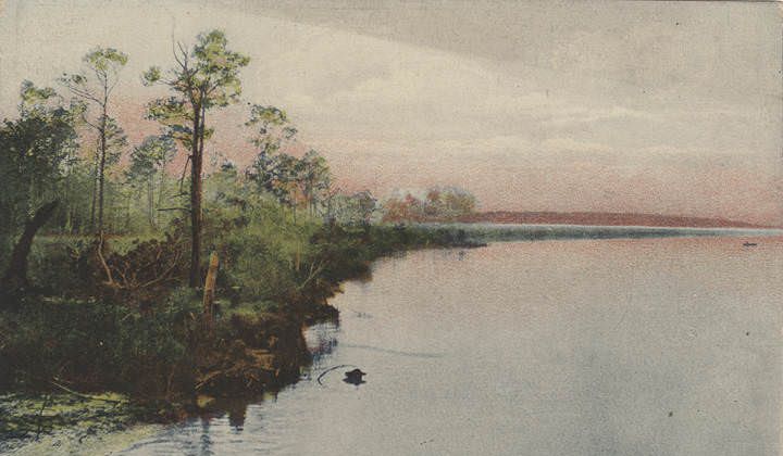 Dog River, Mobile, 1904