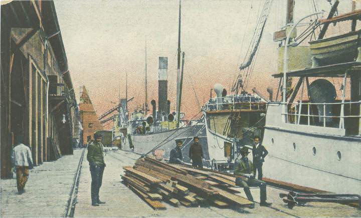 Fruit Co.'s Docks, Mobile, 1902